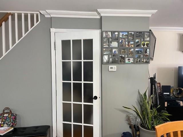 Single Family Linden  Brooklyn, NY 11207, MLS-489711-4