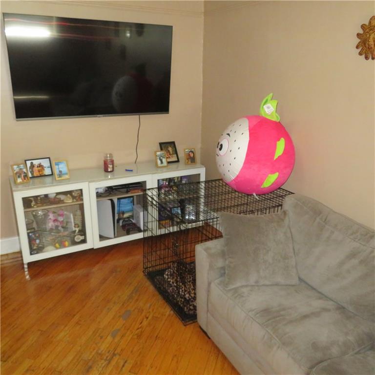 Two Family 28th  Brooklyn, NY 11229, MLS-494476-14