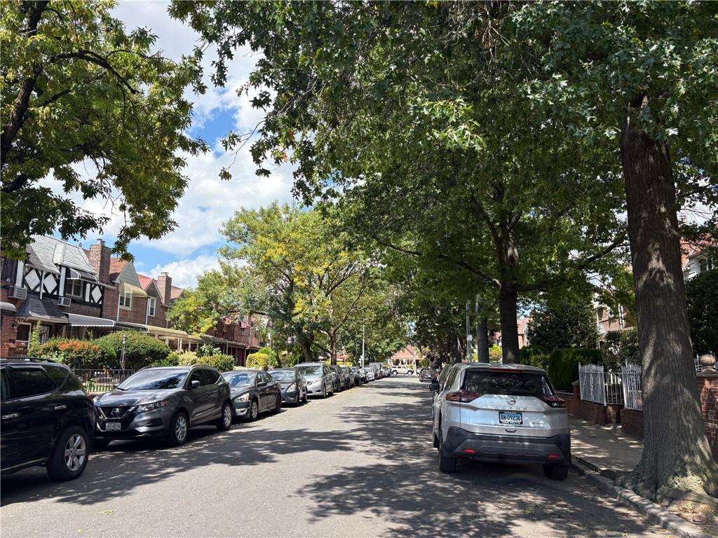 Single Family Dorset  Brooklyn, NY 11236, MLS-496288-7