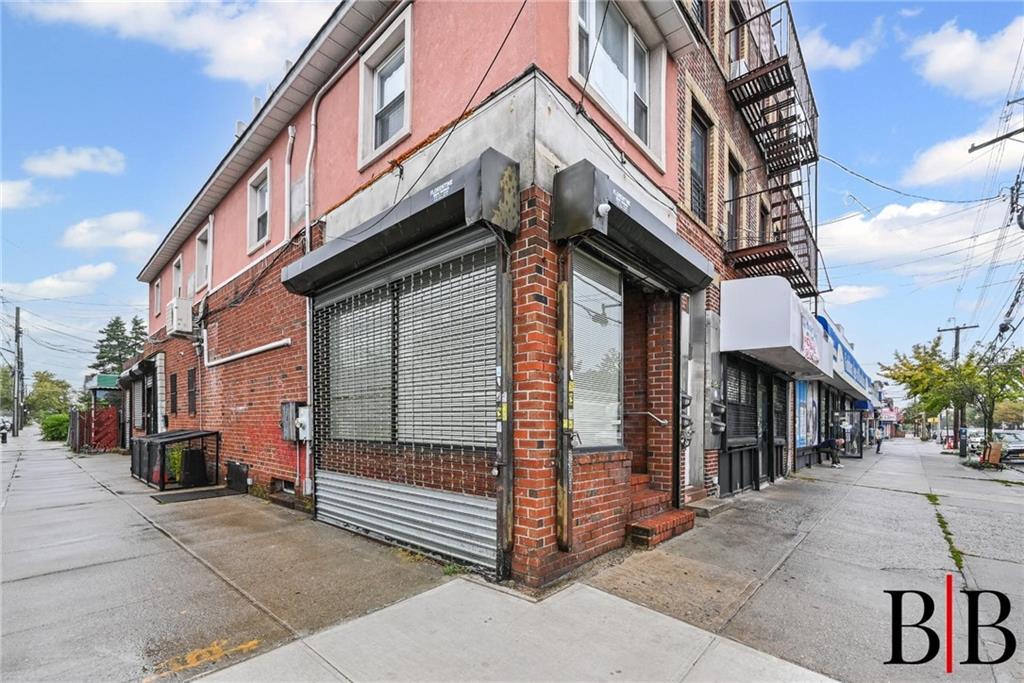 Two Family Avenue L  Brooklyn, NY 11236, MLS-496432-2