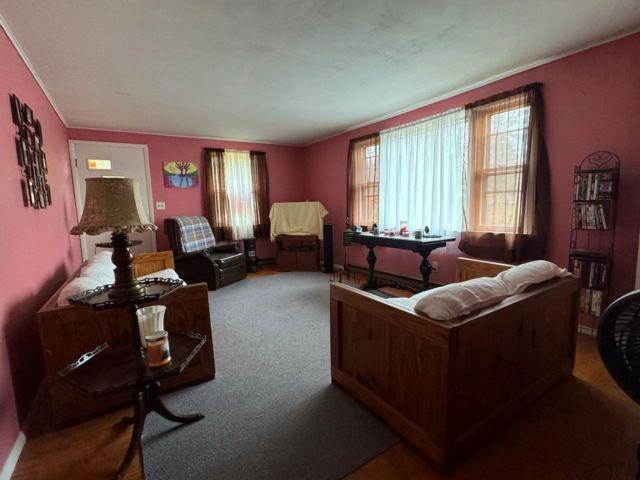 Single Family Ryan  Other, NY 12442, MLS-496483-5