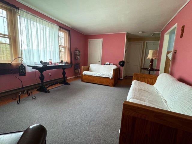 Single Family Ryan  Other, NY 12442, MLS-496483-6