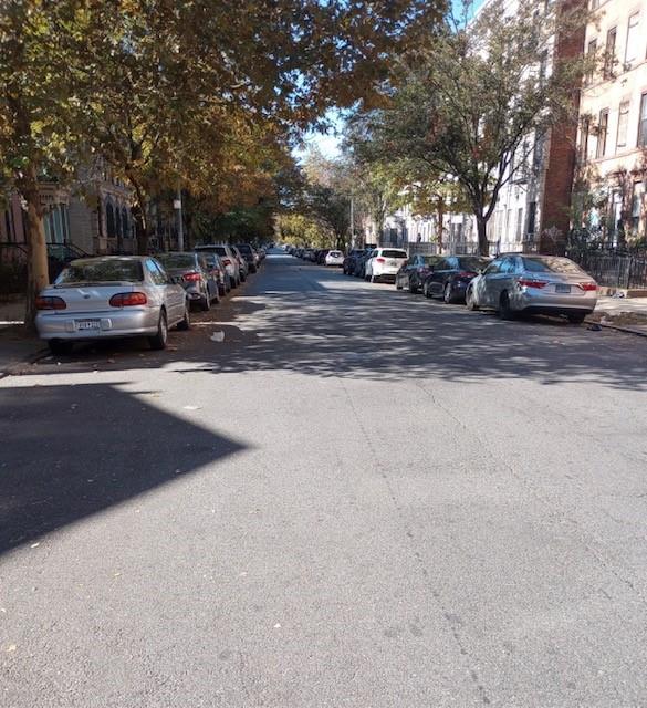 Three Family Macdonough  Brooklyn, NY 11233, MLS-496979-3