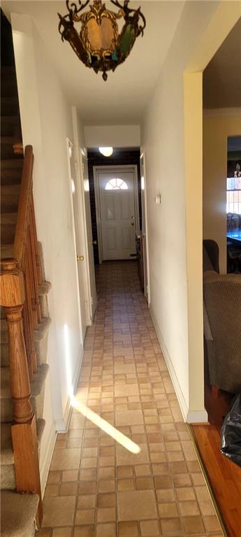 Single Family 53rd  Brooklyn, NY 11234, MLS-497182-2