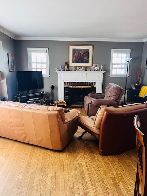 Single Family Camdike  Nassau, NY 11580, MLS-497654-5