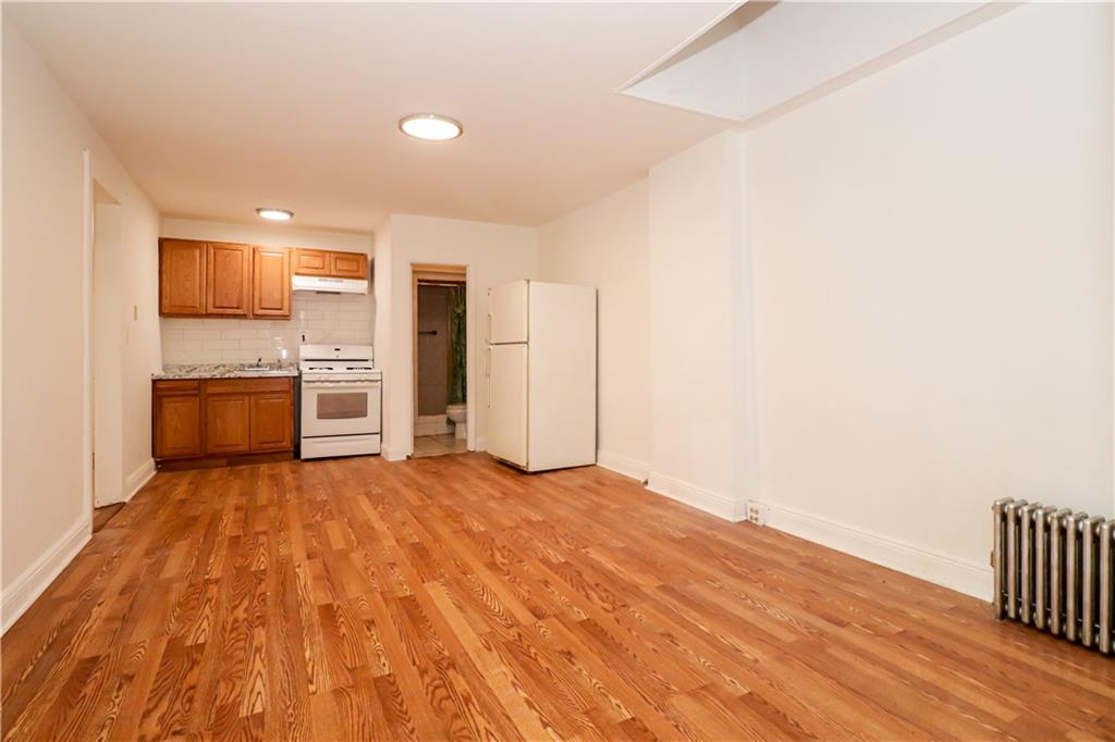 Three Family Fulton  Brooklyn, NY 11208, MLS-497924-24